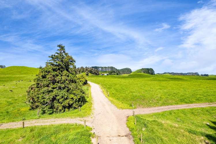 677 Newall Road Newall_6