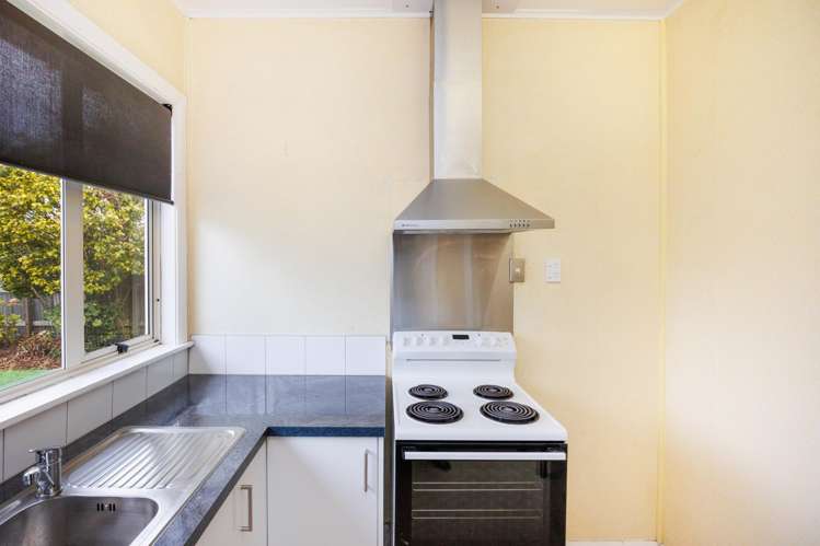 26 Puriri Terrace Roslyn_10