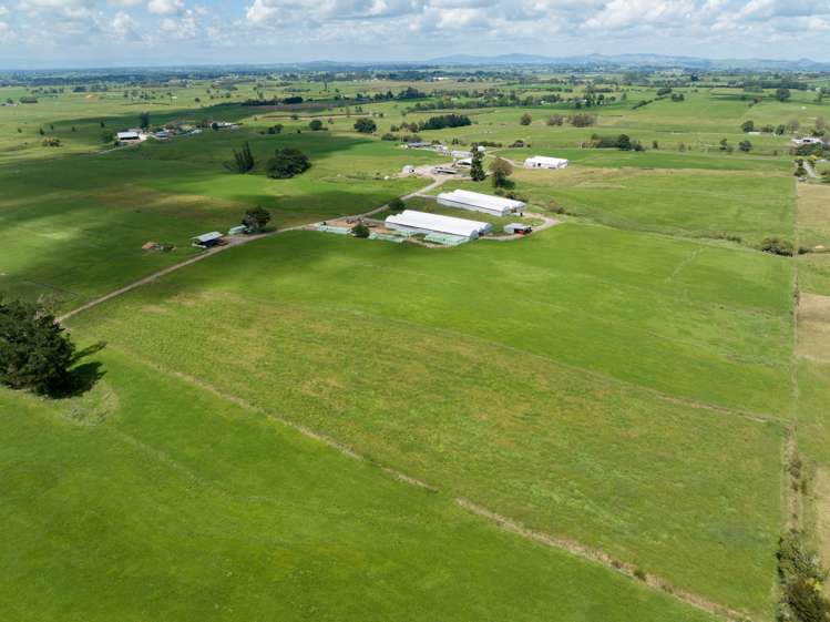 224 Herbert Road Morrinsville_22