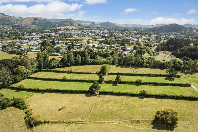 36 Frankton Road Waihi_1