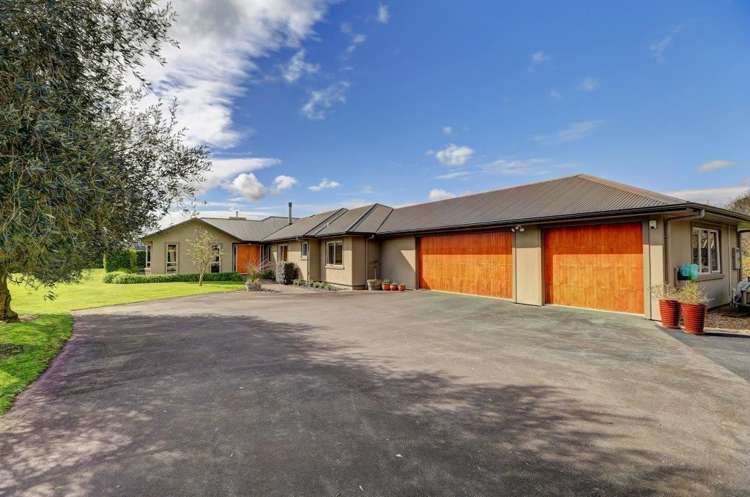 8b Morgan Rise Whatawhata_7