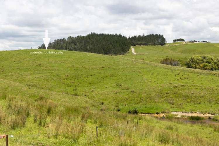 39 Taipa View Road Taipa_12