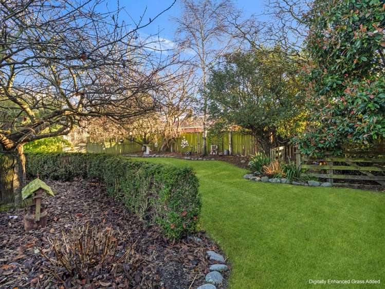 31 West Town Belt Rakaia_28