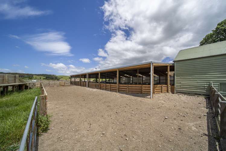 235 Otope Road Dannevirke_6