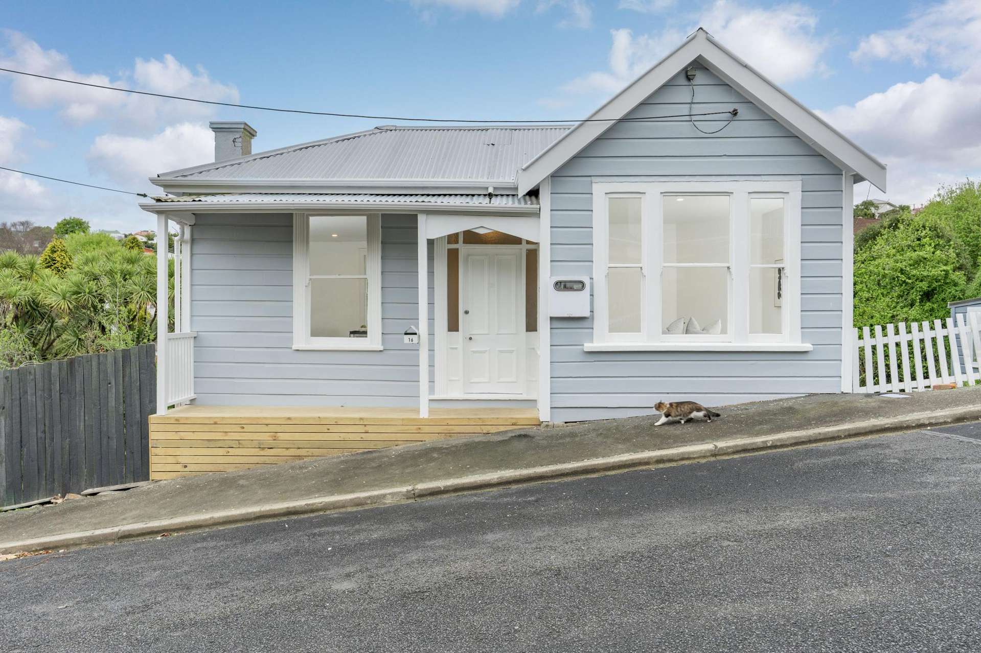 16 Dalry Street Mornington_0