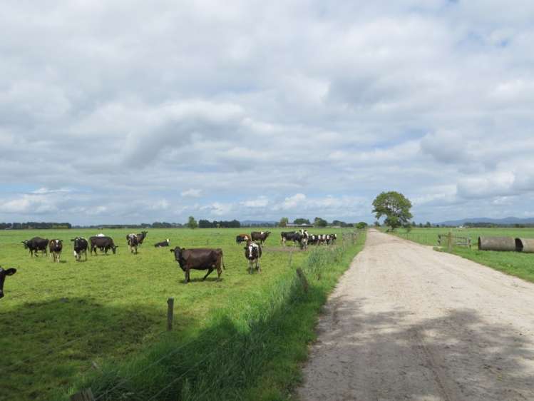 161 Endowment Road Te Aroha_10