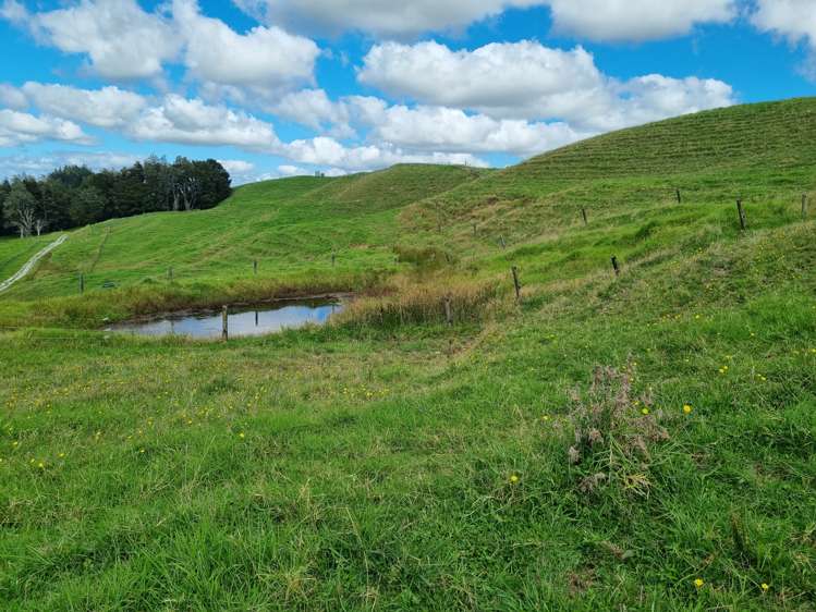 95 Ariels Lane Paparoa_6