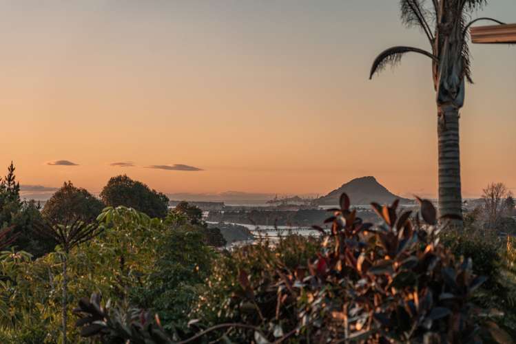 38 Holcombrooke Lane Welcome Bay_21