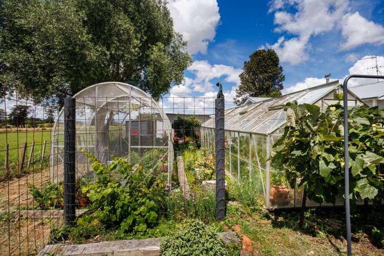 6 Griffins Road Marton_7