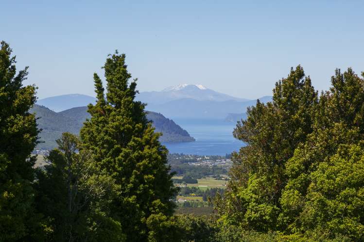 Poihipi Road Wairakei_1