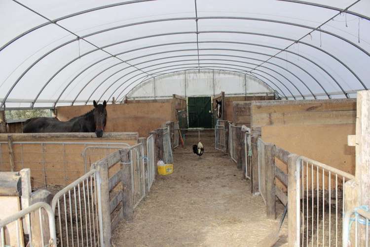 187 Katavich Road Awanui_7