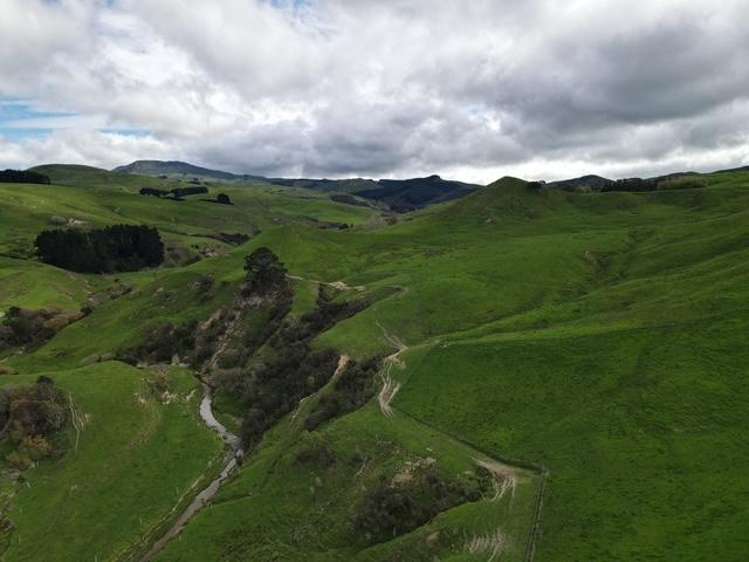 2256 Weber Road Dannevirke_17