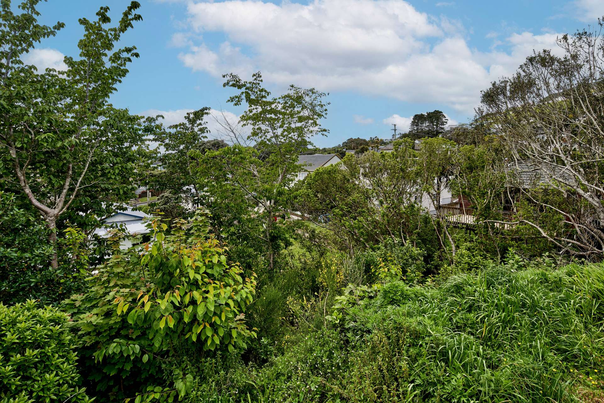 39a Truscott Avenue Johnsonville_0