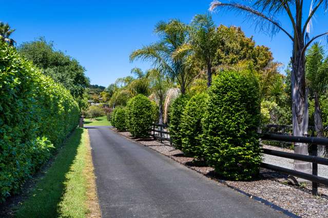 6 Buttercup Place Waimauku_1