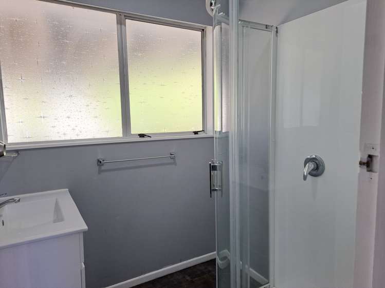 14 Grenville Street Levin_8