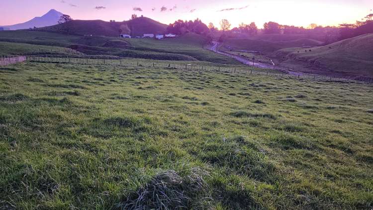 436 Lincoln Road Everett Park_13