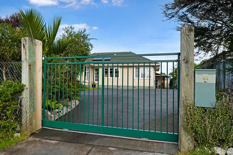 44 Smythe Road Henderson_19