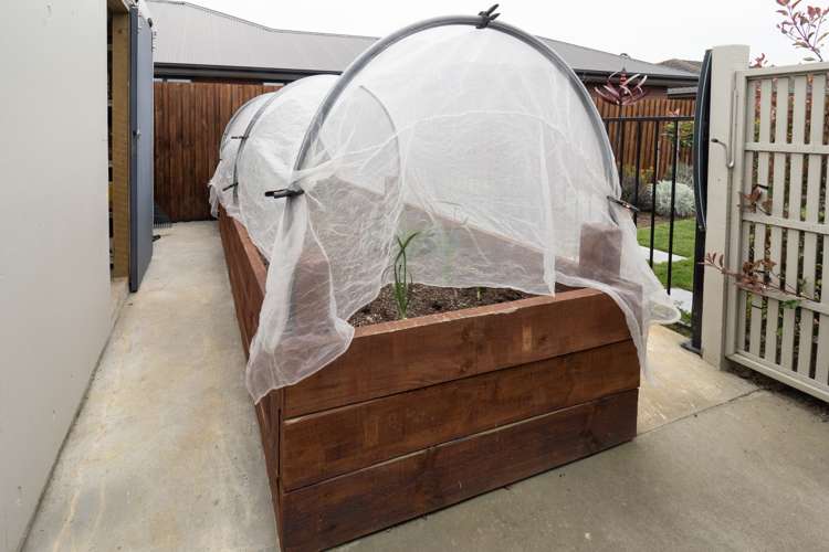 11 Orchard Grove Netherby_21