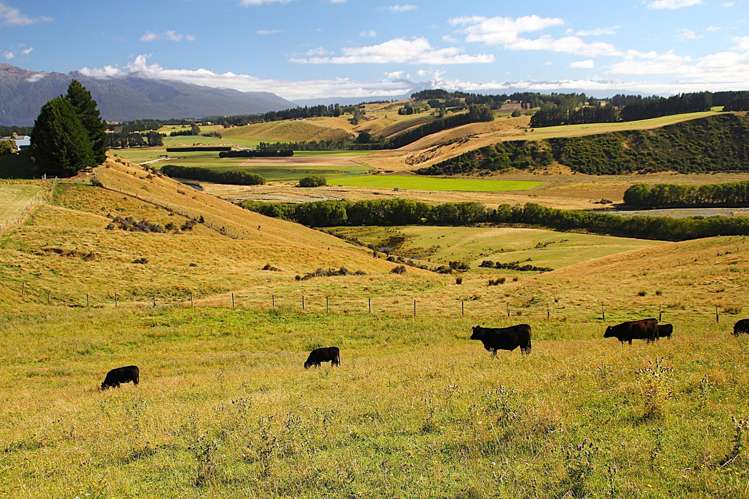 93 Ridgedale Road Te Anau_13