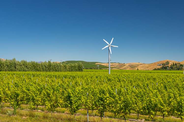 287 Brancott Road Fairhall_9