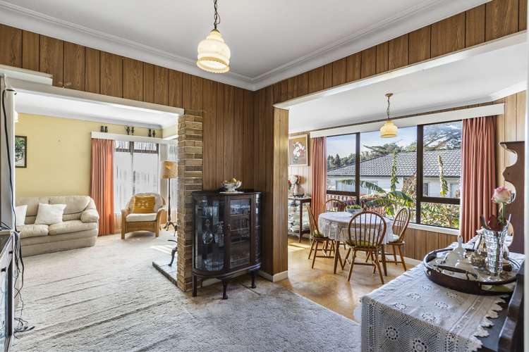 27 Olsen Avenue Hillsborough_4