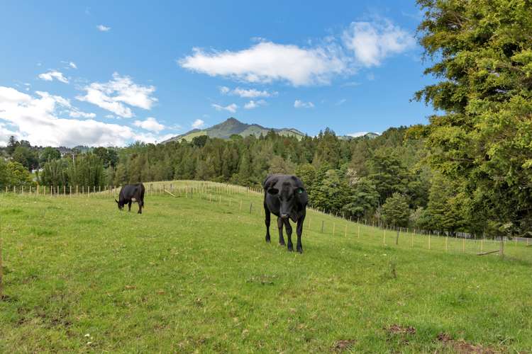 26 Old School Road Maungakaramea_24