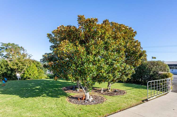 1175 Tiki Road Coromandel_20