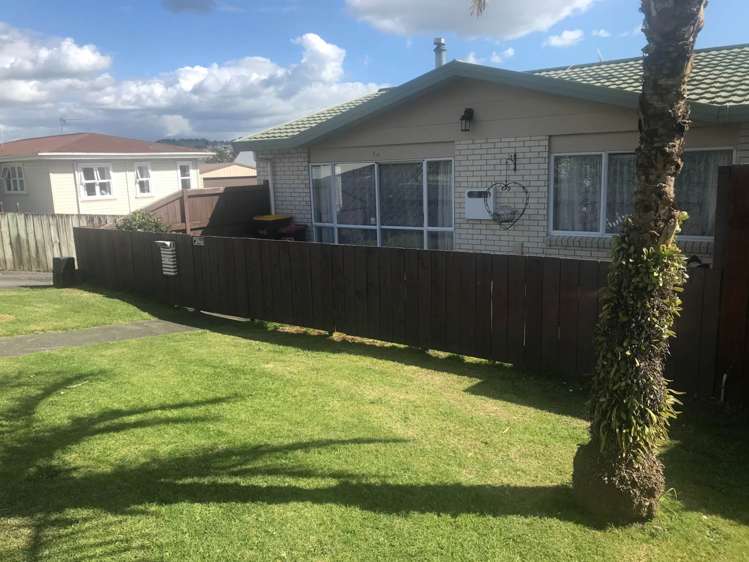 17D Station Road Pukekohe_2