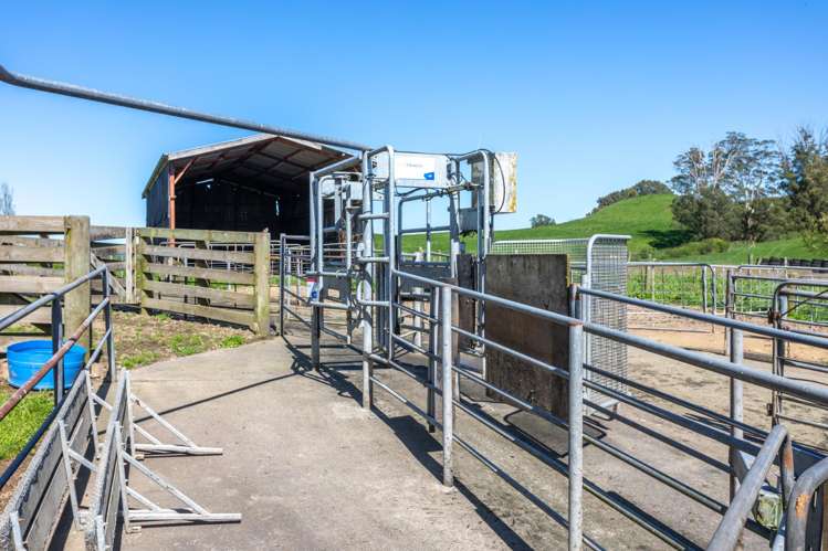 249 Hutchinson Road Richmond Downs_8