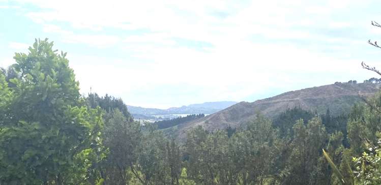 173 Bing Lucas Drive Tawa_16