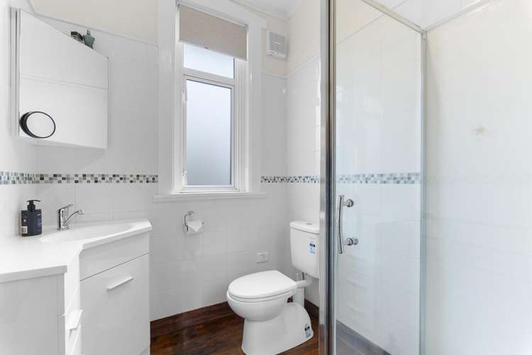 5 Huatoki Street Vogeltown_11