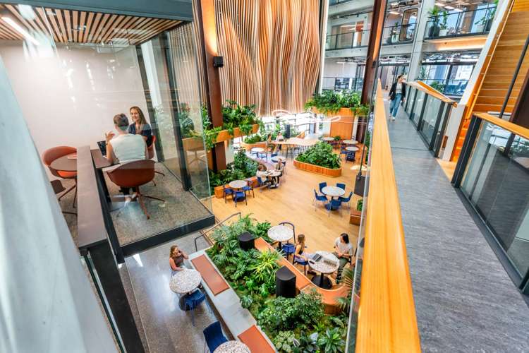 74-78 Taharoto Road Takapuna_15