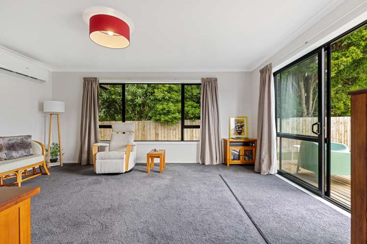 446B Thames Street Morrinsville_8