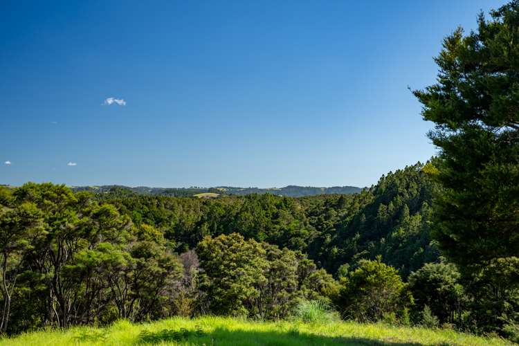 Mangahui Road Whareora_26