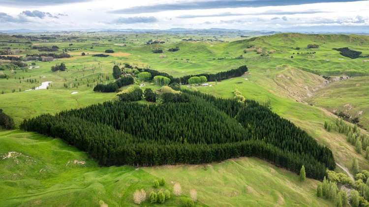 139 Clareinch Road Omakere_30