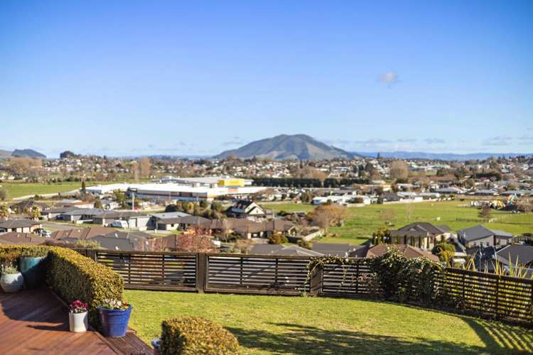 431 Picquet Hill Road Te Awamutu_4