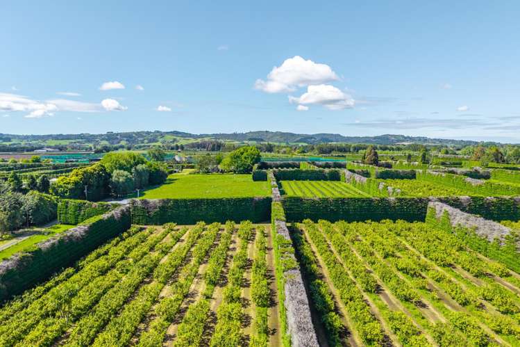 94 Clevedon-Takanini Road Ardmore_6