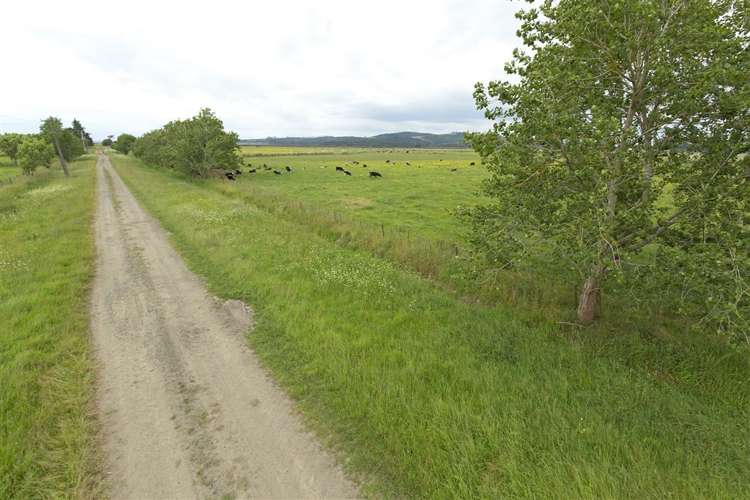 Green Road Parakai_3