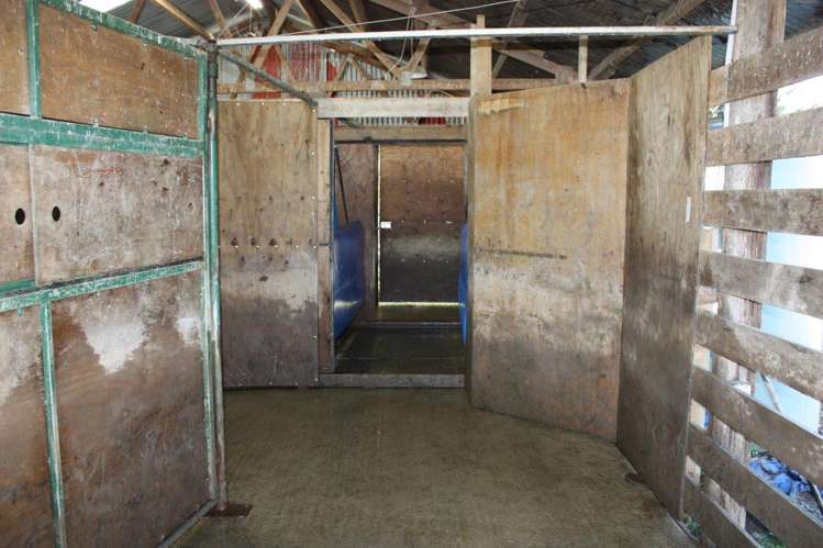 45 Quantock Road Geraldine_14