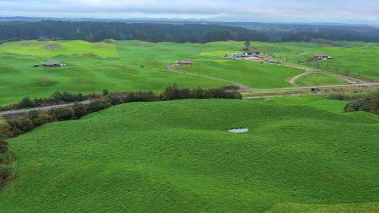 902 Galaxy Road Tokoroa_6