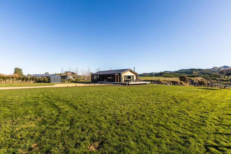 2480 Kahuranaki Road Elsthorpe_18