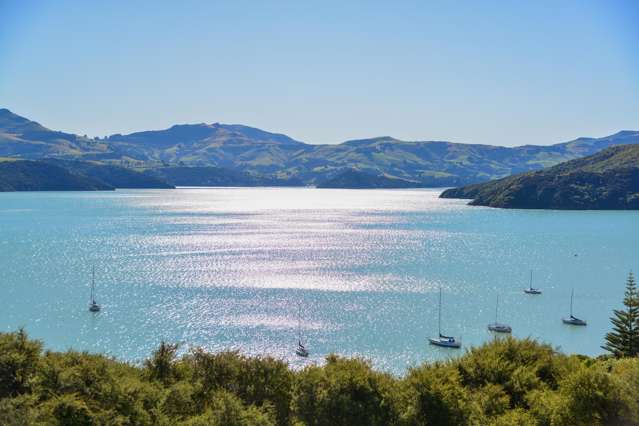 Akaroa's Best Views - 2 weeks to go!