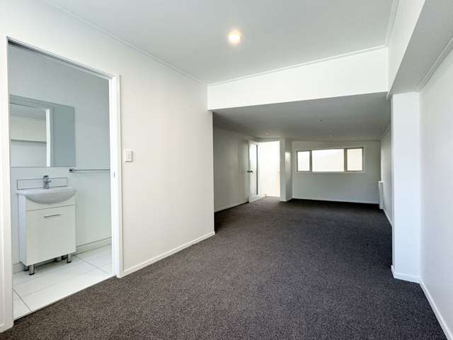 315 Dominion road Mount Eden_4