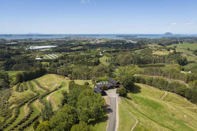 Address withheld Whakamarama_2