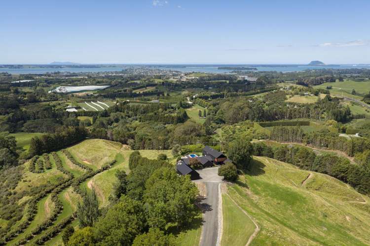 Address withheld Whakamarama_35