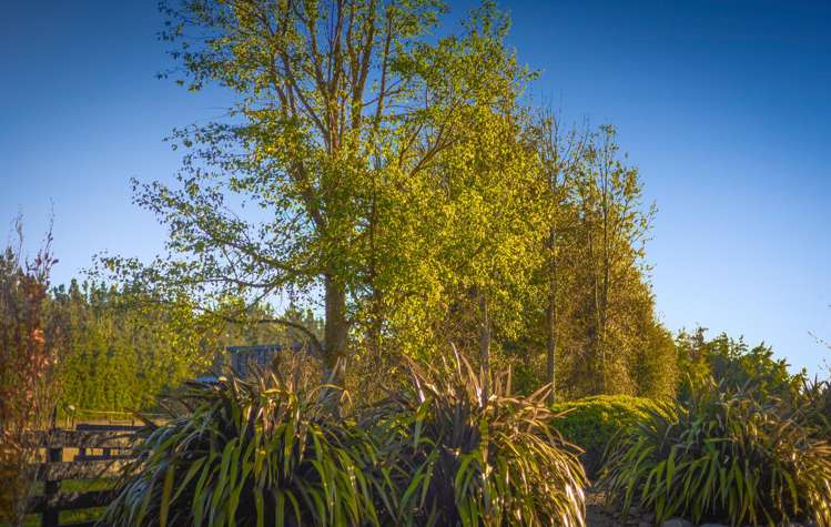 1/1132 Old West Coast Road West Melton_25