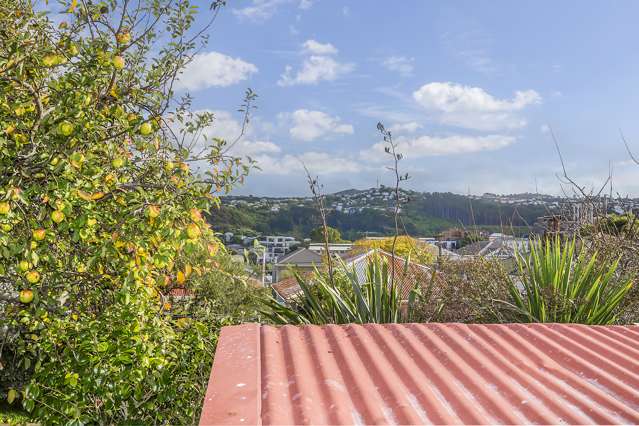 5 Douro Avenue Newtown_3