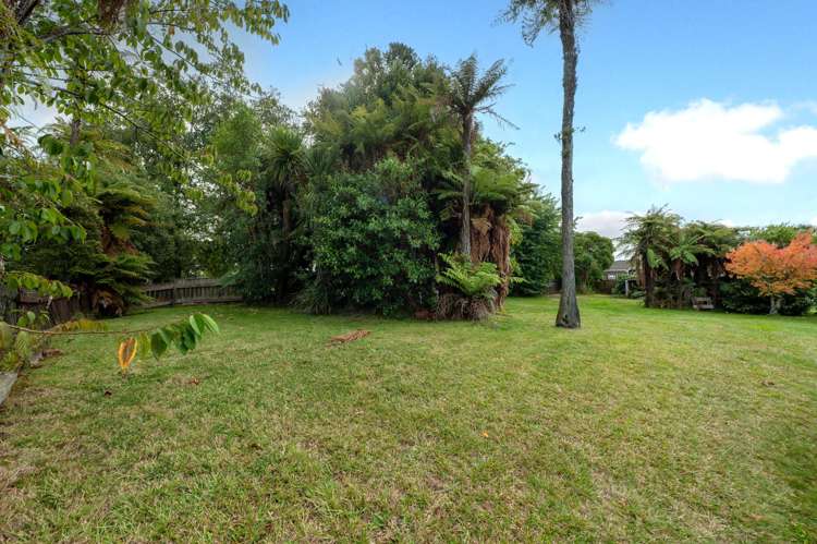 17 Carlton Street Glenholme_6