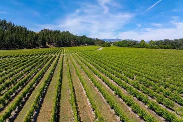 304 Dog Point Road Hawkesbury_4