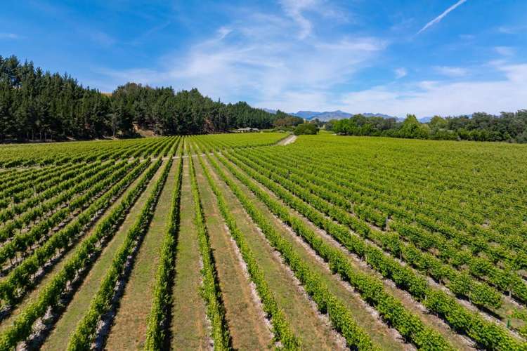 304 Dog Point Road Hawkesbury_4